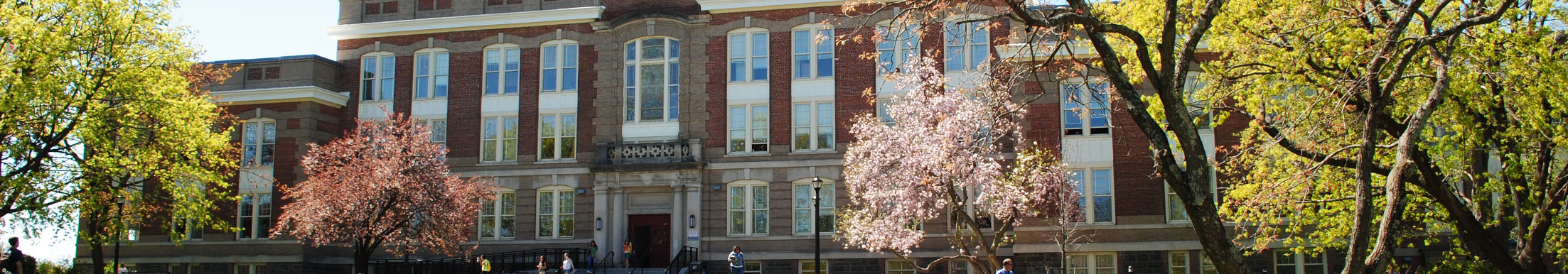 New York University Background